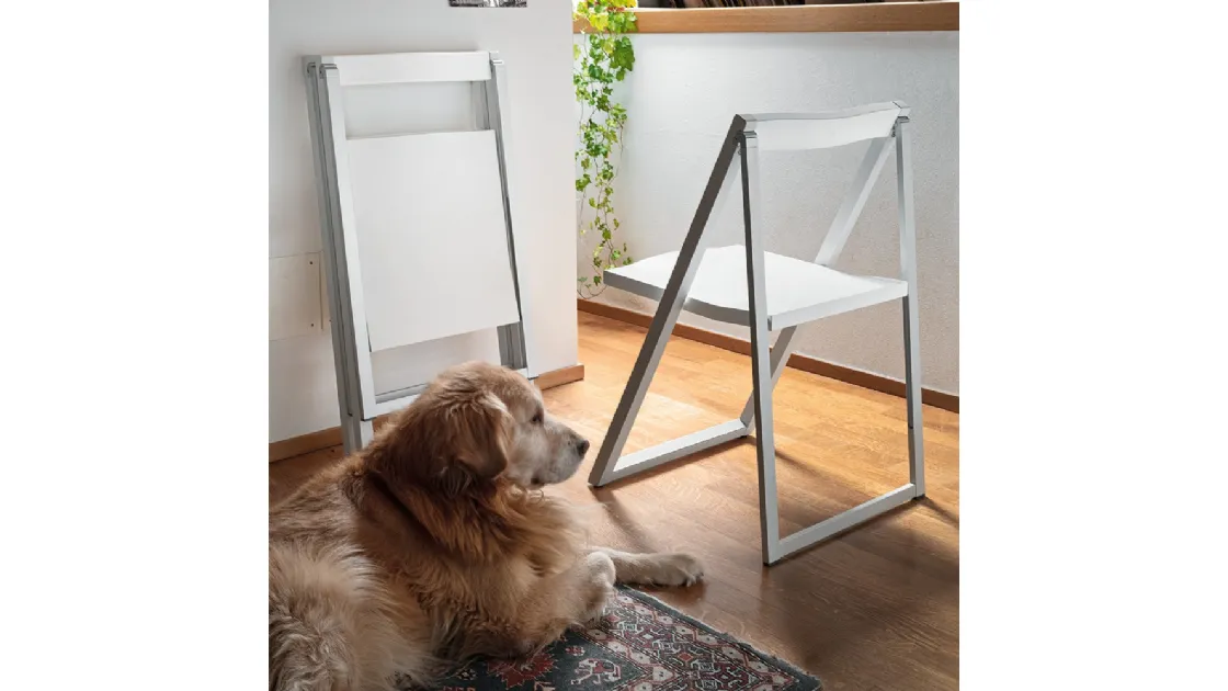 Sedia pieghevole Skip in legno laccato di Connubia